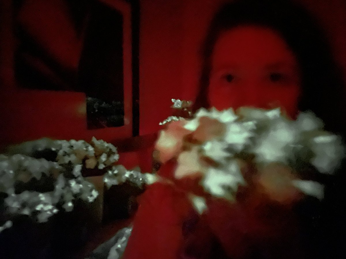 <a href="/ELNSMNS/">Ellen Simmons</a> is loving the glowing petunias from <a href="/light_bio/">Light Bio</a> at <a href="/BuiltWithBio/">Built With Biology</a> #synbio #glowup