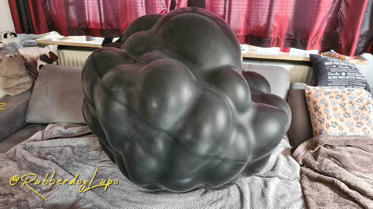 GummihundLupo's tweet photo. Had some fun in a giant bubble again. :3 the vacuum in thare was intense!
#rubber #rubberpup #balloon #fetish #climbin
📷: @RubberDogBronco https://t.co/l93ipwFOvj