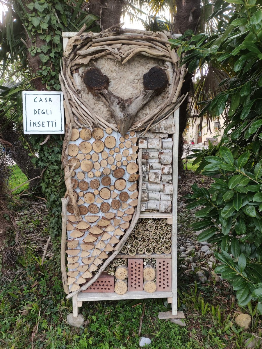 New year, new #bughotel ! With @DavideScridel and the help of some friends, we built a #barnowl #insecthotel for #pollinators like solitary #bees and many other precious bugs, using discarded or natural materials from the surroundings. Enjoy!
#landart #biodiversity 
#SaveTheBees