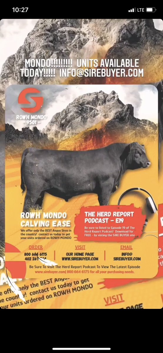 drowh3's tweet image. Order semen today through Sire Buyer or DM me.