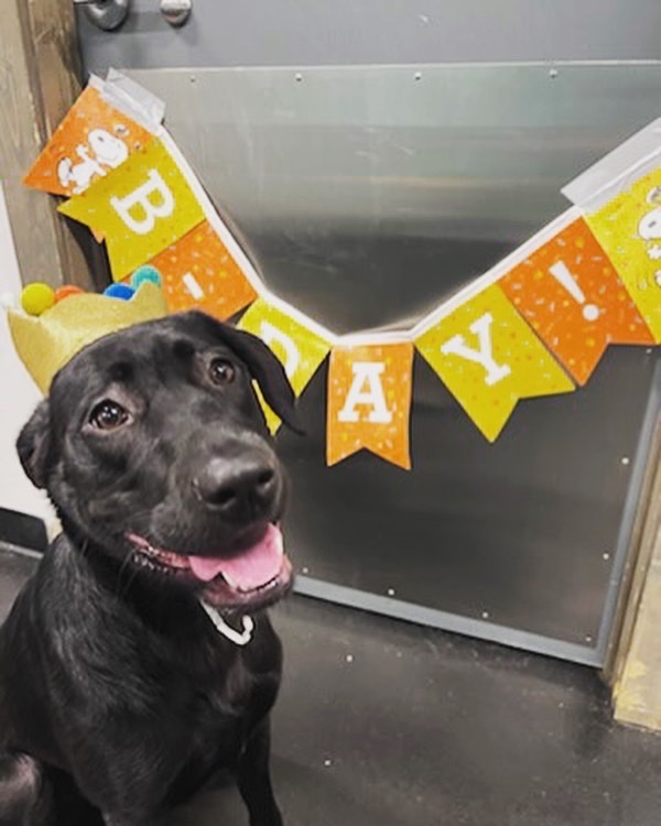 Mrs. Frugal Banker tweet media