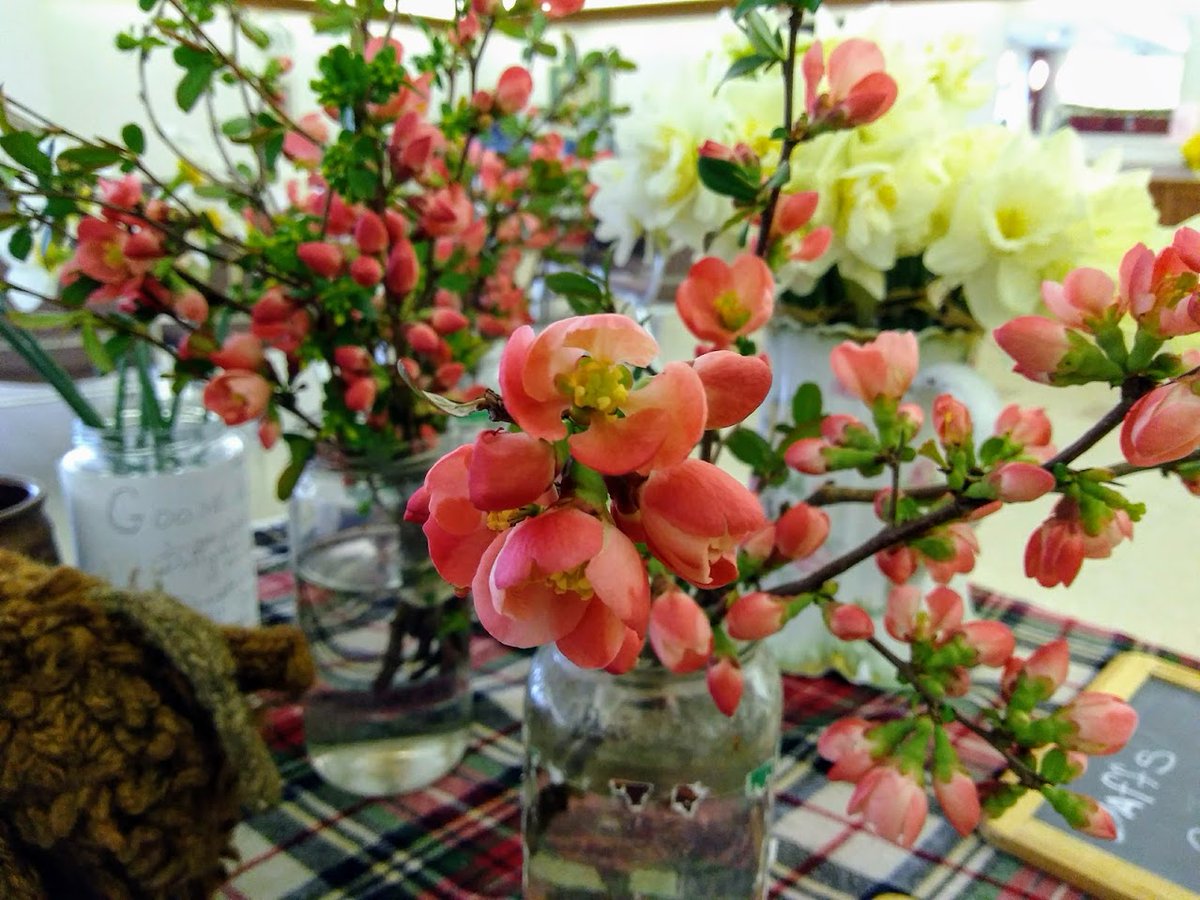 haymakermarket's tweet photo. Springtime starts at the Market! - https://t.co/iH9ihy9YRX https://t.co/mKLNCeIYED