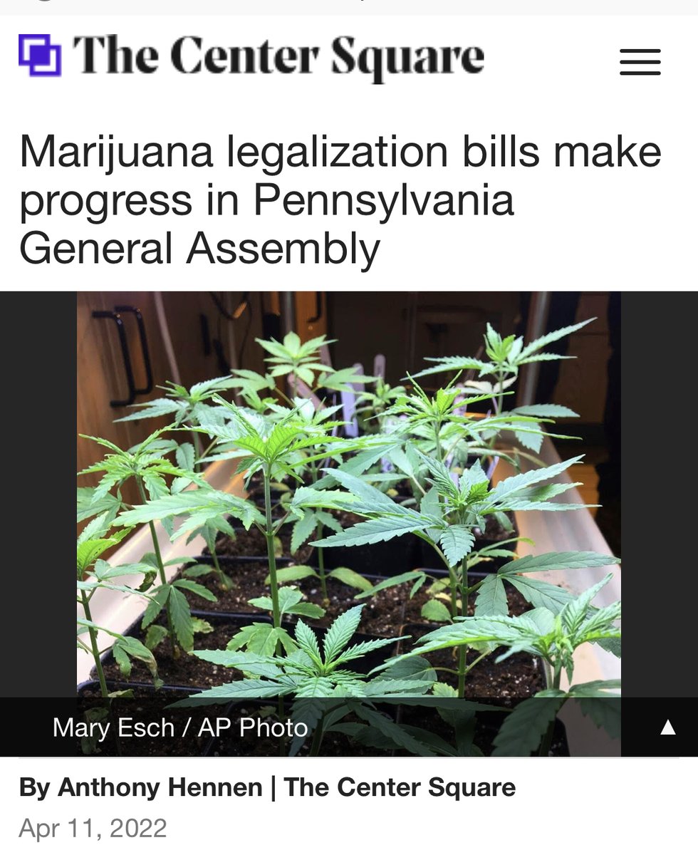 PhillyNORML's tweet photo. Perfectly Normal meeting TONIGHT April 14th, 2022 @ 07:00 PM EST

Join Zoom Meeting

https://t.co/kMIFEVUA7x

Meeting ID: 880 6651 3979
Passcode: 126457
+1 929 205 6099 US

https://t.co/BO6RMS2gtW
https://t.co/sMy6eA0xqt https://t.co/DkjLmCVY5N