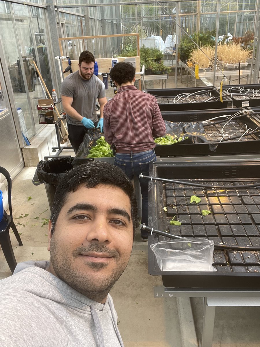 soileos's tweet photo. It was all hands on deck for harvest day at our #researchgreenhouse. Thank you @dirediredock for bringing in the #Family to help out 💚🌱 From the team at #LucentBio we want to wish you and your families all a happy Easter long weekend! Enjoy the time together🐰🌸 https://t.co/K5dq7XalLT