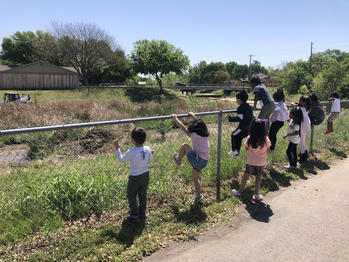 LalithaShetty's tweet photo. Everything’s an adventure when you’re 5! Watching a skid steer at work @forestnorth @RRISDPK #prekispowerful https://t.co/QDGToaDRxW