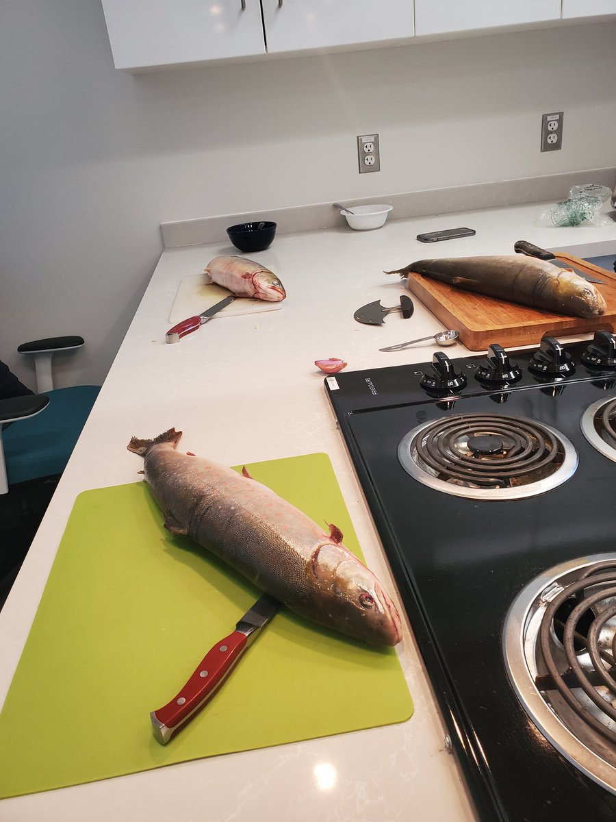 TaraVatNAC's tweet image. @siilaflaherty led our @DalNursing #NACnursing students through the cleaning and prep of char to make ceviche today as part of our #IndigenousDiets unit of #Biochemistry. Best way to end a term and class. ❤🎣 #grateful and just plain full!! So much snacking! ♡