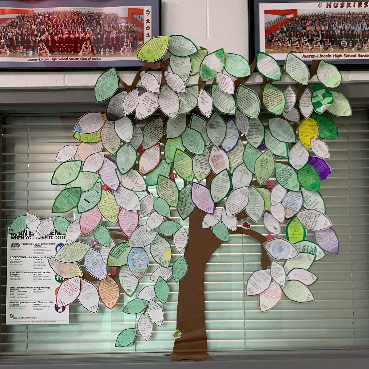 MrsGandaria's tweet photo. Our βπ»βpoet treeβ π³ is coming along nicely! π Shout-out to all teachers and students who have participated, more to come! #poettree #shelpoettree #lajoyaisd #jlhsreads #librarylife #NationalPoetryMonth https://t.co/2Lq9Tc7rlI