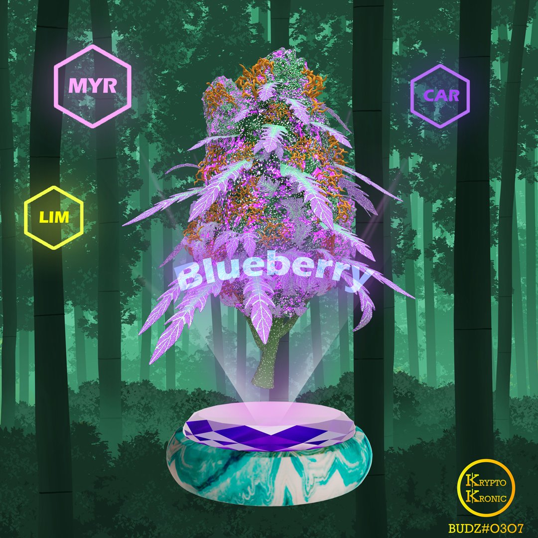 KryptoKronicNFT's tweet image. Special shouts to our 2 winners for our Weekly NFT Giveaway!! One 
@KryptoKronicNFT
 #BudzNFT goes to 
@J_Rza6 
 and 
#RaheelAhmad

Congratulations and get ready for our next one starting in 48 hours!! LFG

#kryptokronic #NFT #NFTCommunity #SolanaNFTs #NFTGiveaway #cannabisnft