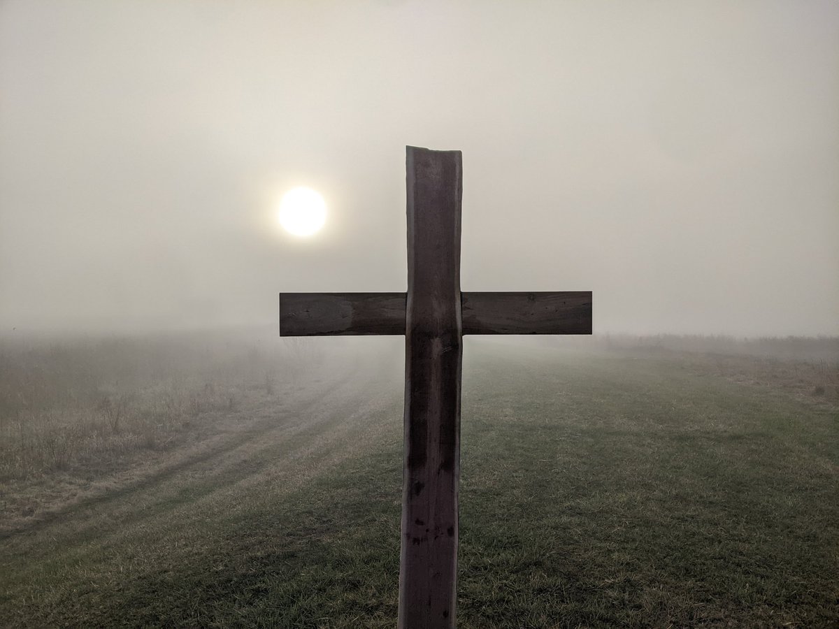 Shane Adams tweet media