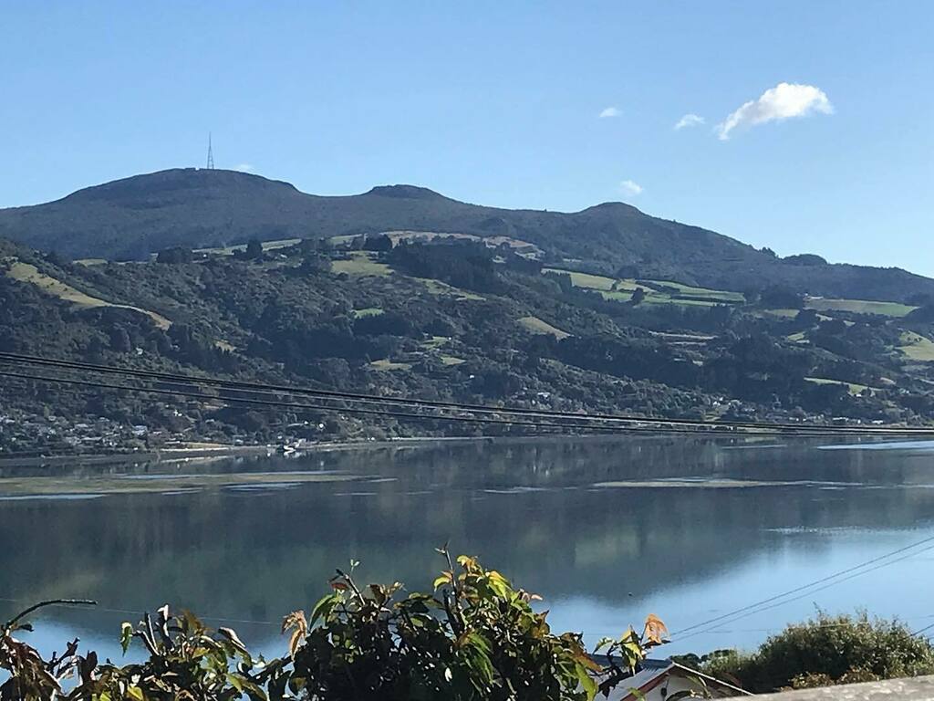 ejugginz's tweet photo. Happy Good Friday everyone! #deckview #reflections #otagopeninsula #newzealand https://t.co/K8O951EZfA https://t.co/62HxOYj24w