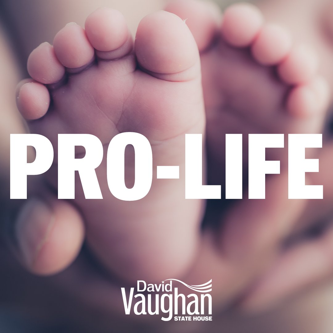 David Vaughan tweet media