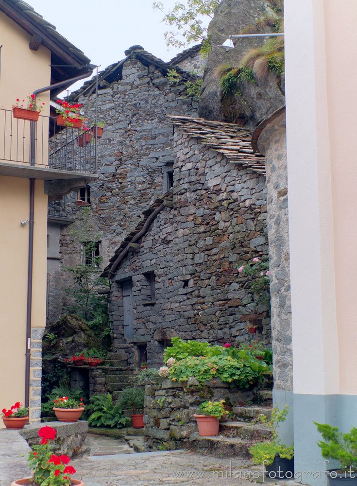 milanofotografo's tweet photo. #Beccata fraction of #Rosazza (#Biella #Italy): Old houses beside the Oratory of San Defendente. Full size img: https://t.co/xQ0bY4FUTg
All pictures of the oratory: https://t.co/Gp0UXAUQDN
@valle_cervo @polisportivavca @cuoredellealpi @biellastoria @diariodibiella @BiellaTurismo https://t.co/VVEyUB0zaw