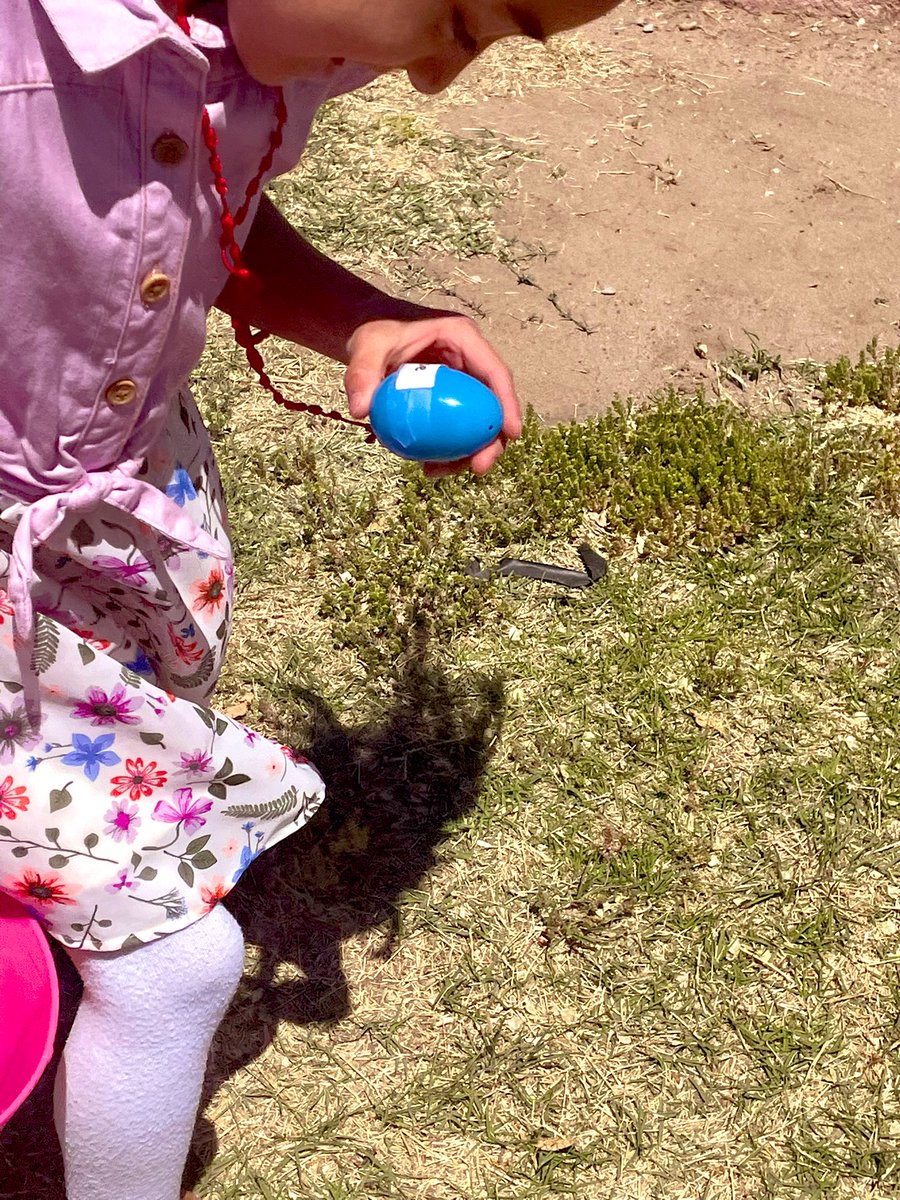 Bhernandez_BNES's tweet photo. Hueco Kinder Suns had an Eggcellent time looking and hunting for their sight word eggs! π£ #shinebright #Spring #springegghunt #TeamSISD @Hueco_ES @RSendek_HES https://t.co/w6iBTiPwvQ