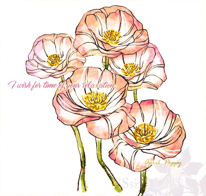4月の花のtwitterイラスト検索結果