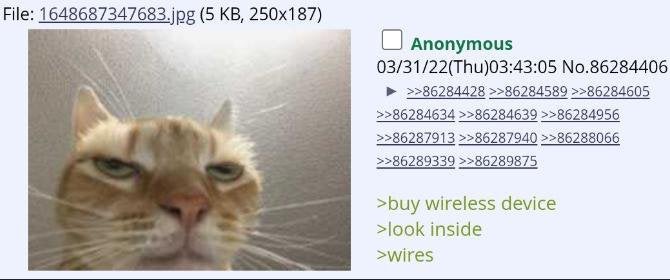 kiwidotmtf's tweet image. goodnight