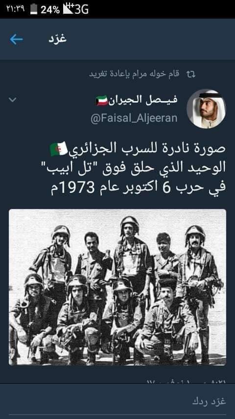 🇩🇿.lion_from_oran_algeria tweet media