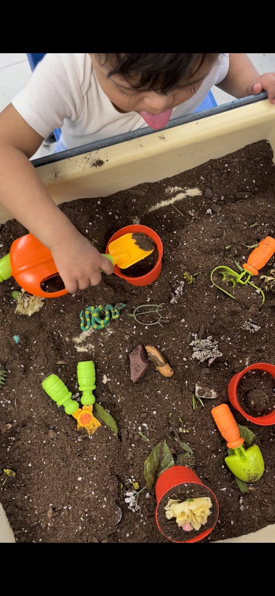 Mrs_Bridges_'s tweet photo. Students enjoyed learning all about plants and insects this week!
๐๐ฆ๐ป๐ฑ @LJJacksonECC #StemEducation #LISDpk #PrekActivities #StemInPrek https://t.co/R3KE1PunZ9