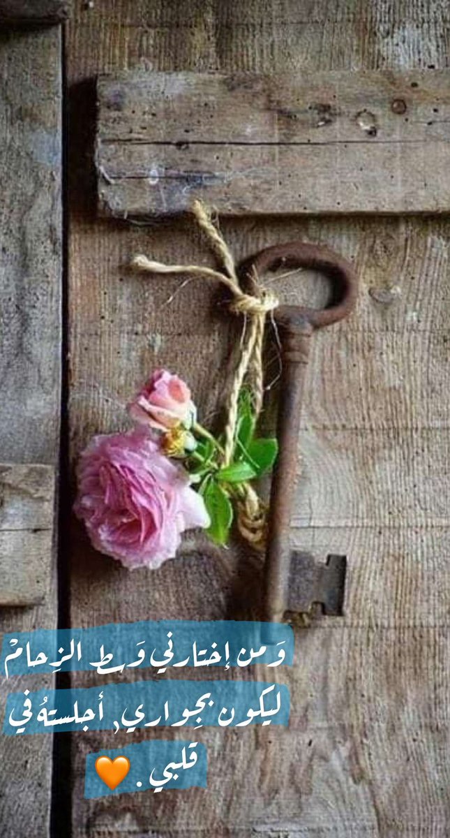 وَمن إختارني وَسط الزِحامْ ليكون بجِواري, أجلستهُ في قلبي .🧡

#لـورد