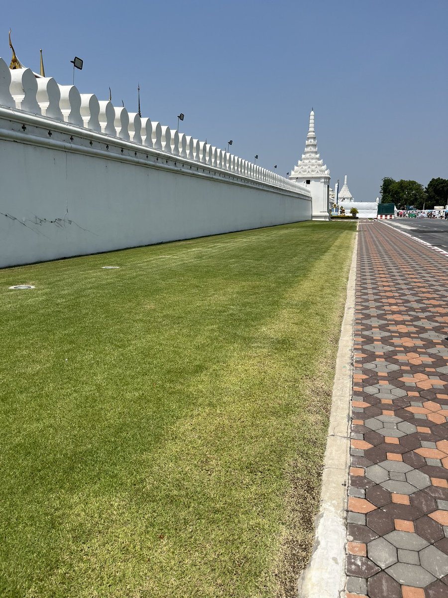 ad_acherry's tweet image. แล้วเดินมาทางวัดพระแก้ว เจอพี่ม้า😍 สวยจัง #throwbackYesterday