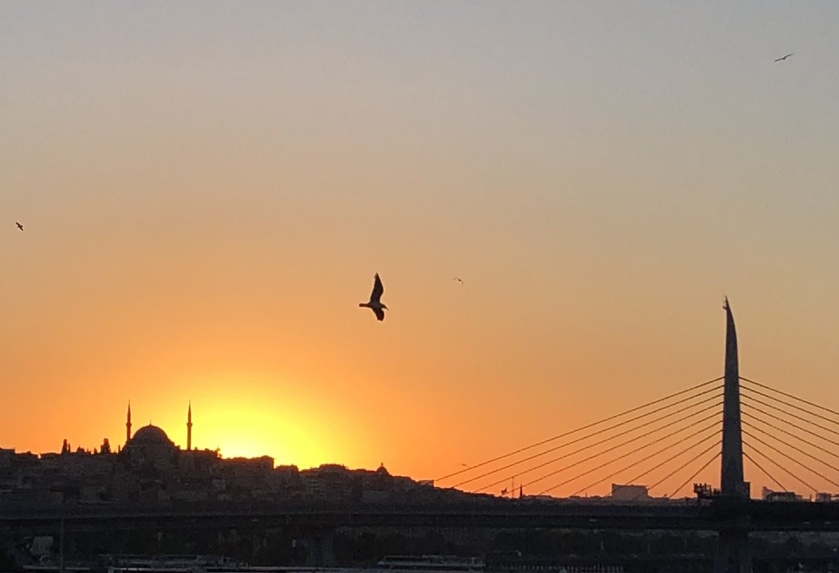 Juan Mora tweet media