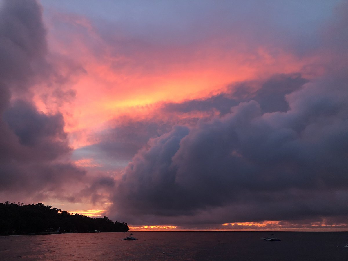 Juan Mora tweet media