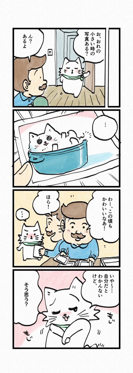 おふくちゃんの小さいころは、、
第163話「ぼくってカワイイ!」はこちらから⇒
(https://t.co/EFtJnvRhX4 )
『猫のおふくちゃん』の最新話は毎週金曜日に連載中!

今週から「おふく横丁の猫部員」をブログで発表しています。猫部員No.002をぜひチェックしてくださいね。 