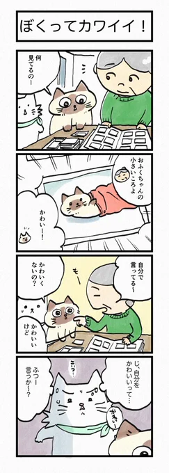 おふくちゃんの小さいころは、、第163話「ぼくってカワイイ!」はこちらから⇒( )『猫のおふくちゃん』の最新話は毎週金曜日に連載中!今週から「おふく横丁の猫部員」をブログで発表しています。猫部員No.002をぜひチェックしてくださいね。 