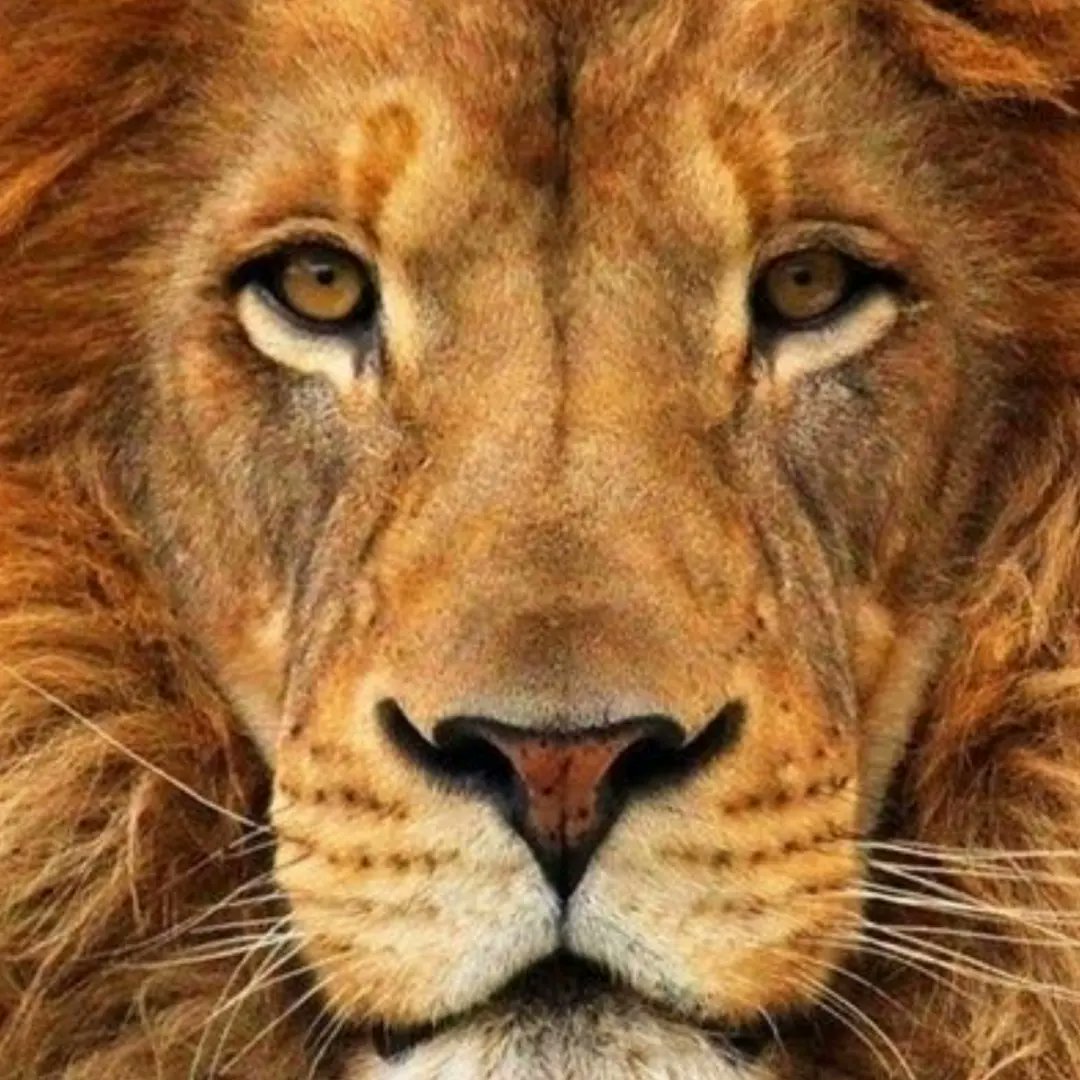 @Licenciadojosemara (@licenciadojoser) on Twitter photo 