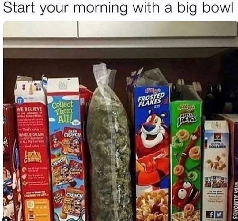 FrostPipe1's tweet photo. What a bowl it would be !
https://t.co/p7EQTcXyyH #stoner #frostpipe #Cardano #NFT #CNFT #CardanoCommunity #CardanoStonerzClub #stoned #420 #high #blazed #dope #degen #memes https://t.co/73yrpqVJw5