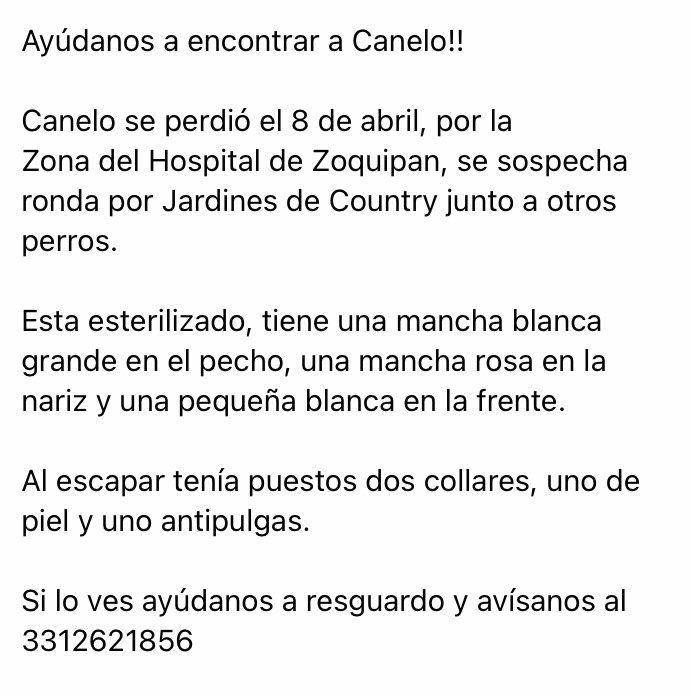 pame_figueroa89's tweet photo. Ayuda por favor @ExtraviaDog @GDLPatadeperro @BuscoMiPerroGDL @Trafico_ZMG https://t.co/4vKuWrK2hg