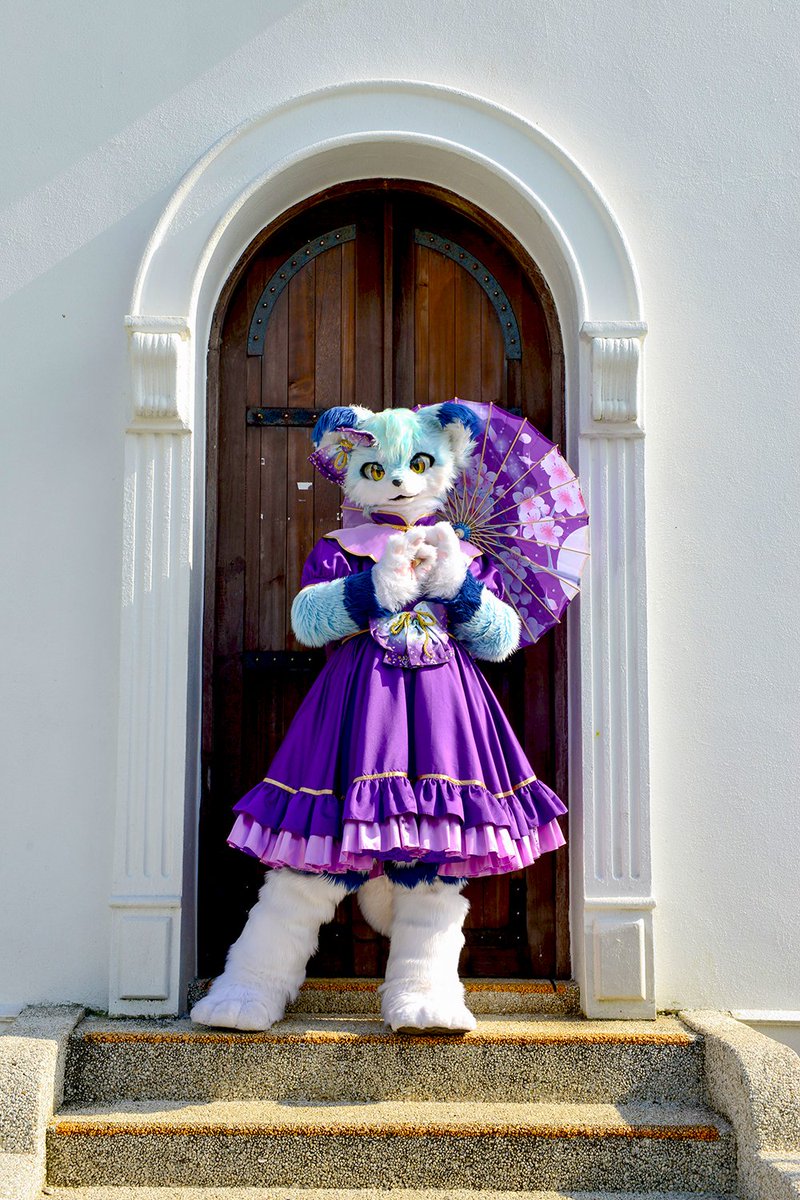 🍛カレー/카레🍛🔜関けも11 tweet media