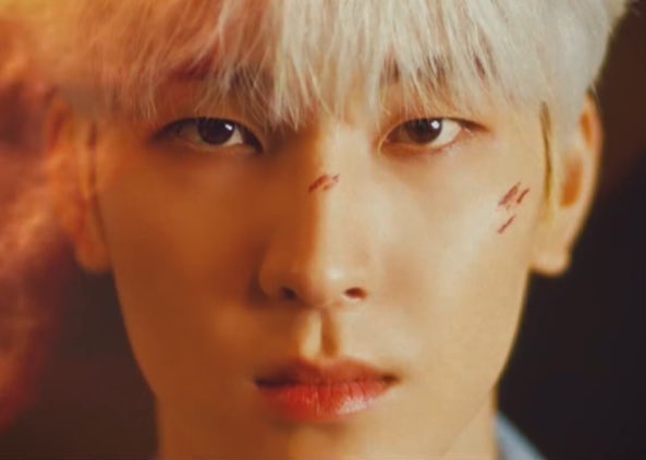 kittyc0at's tweet photo. 어떤놈이 자꾸 코부터때리냐 https://t.co/neIp8sHrHo