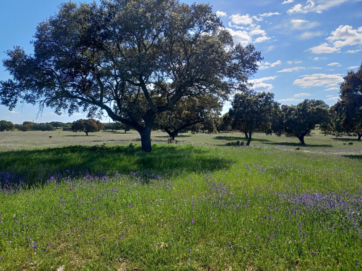 Adriana Targarona tweet media