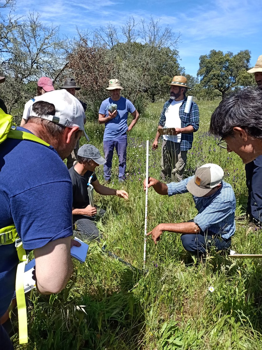 Adriana Targarona tweet media