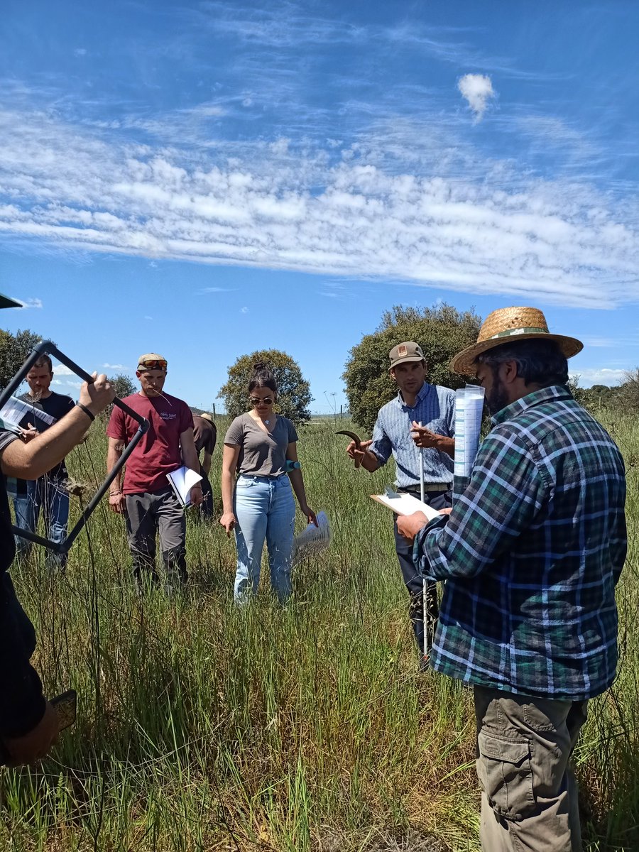 Adriana Targarona tweet media