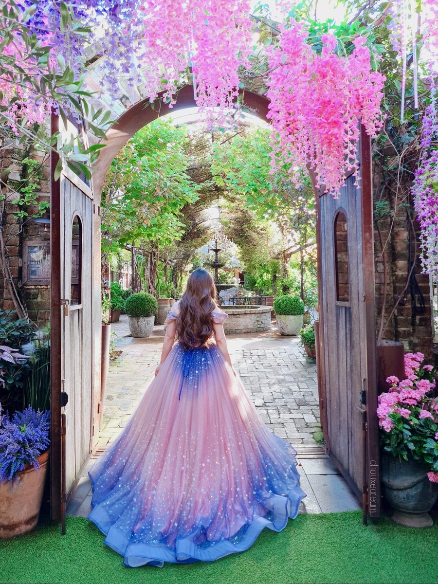 🩶ε٩(๑• ₃ •)۶з🩶 tweet media