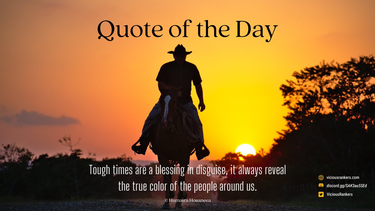 ViciousRankers tweet media