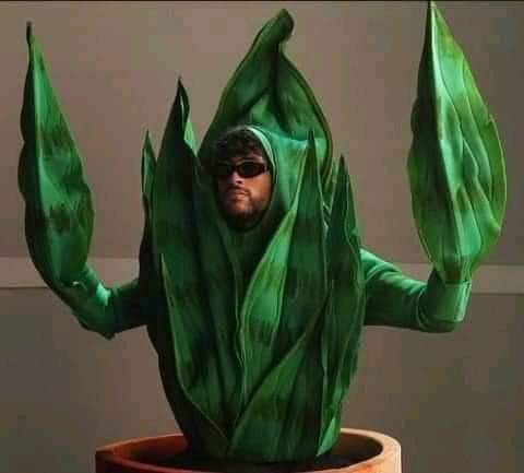 badbunnytwetts's tweet photo. Te topaste con Bad Bunny planta, si lo ignoras tendrás un mal día mañana. 🐰 https://t.co/TveetjImal