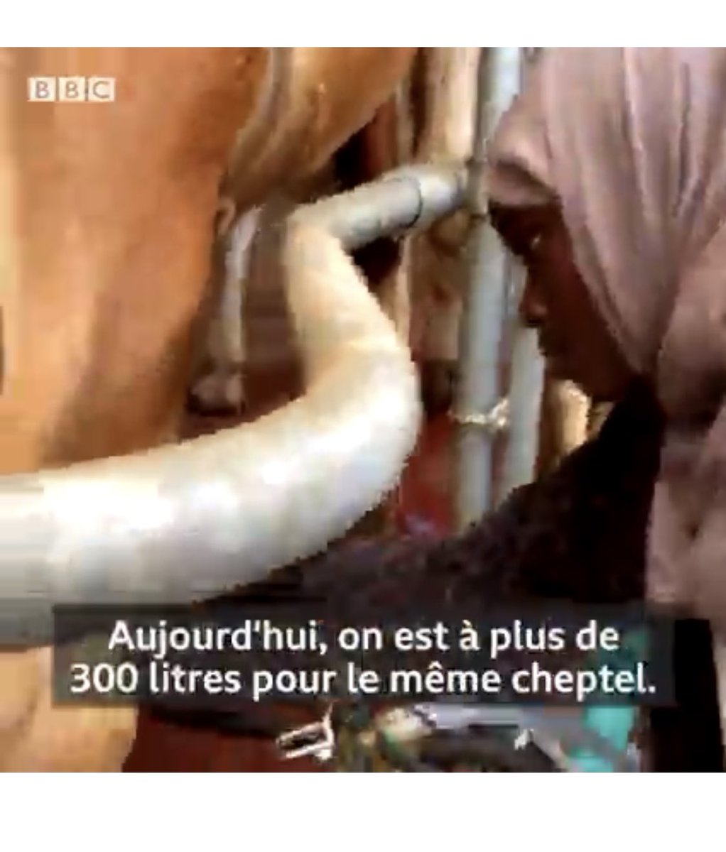 AissTour's tweet photo. @Tidiane_23 C’est même pas 3000l c’est 300l pour 50 têtes c’est vraiment très peu https://t.co/7iAsiPyLOk