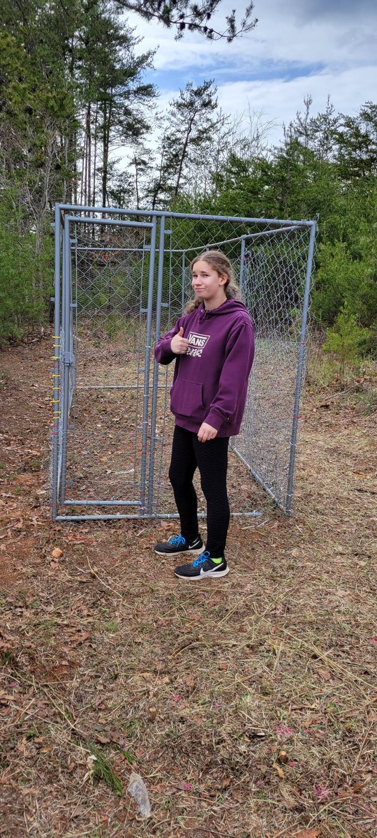 sambone78's tweet photo. Working on adding chickens to our crazy carter farm. Using this old dog kennel for a coop.  As if we don't have enough animals.... 🤪🐕🐶🐱🐱🐎🐎🐖🐖🐂🐃🐮🐇🐇🐔🐓🐣🐣🐣🐔🐔🐓🐤🐥#farmlife #weloveanimals #offthegrid https://t.co/hIkNRY7SC6
