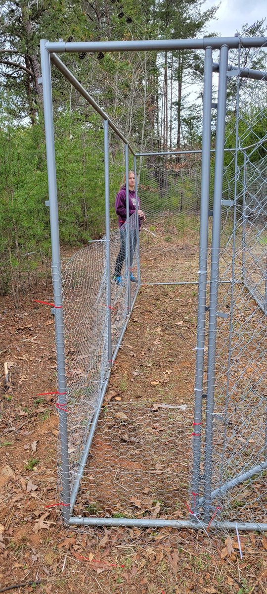 sambone78's tweet photo. Working on adding chickens to our crazy carter farm. Using this old dog kennel for a coop.  As if we don't have enough animals.... 🤪🐕🐶🐱🐱🐎🐎🐖🐖🐂🐃🐮🐇🐇🐔🐓🐣🐣🐣🐔🐔🐓🐤🐥#farmlife #weloveanimals #offthegrid https://t.co/hIkNRY7SC6