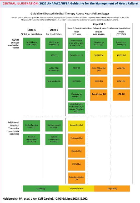Headed to the "Management of Acute Decompensated Heart Failure" session virtually or in person for #ACCAsia 2022? Get up to speed with ACC's newest #HeartFailure #ClinicalGuidelines: bit.ly/3JEJ3ot 

#ACCEd #JACC <a href="/JACCJournals/">JACC Journals</a>