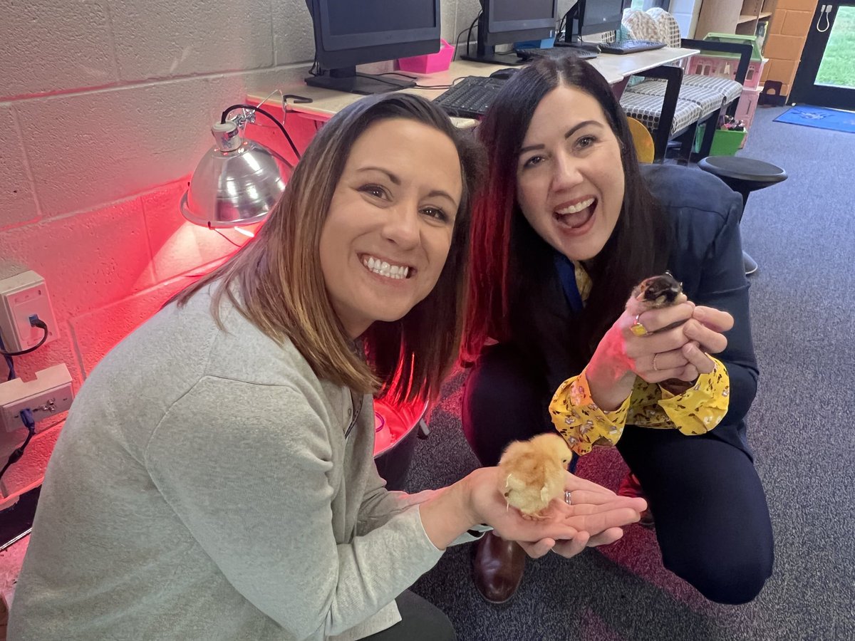 Lisa Snider tweet media