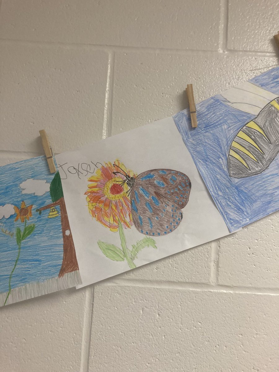 Mrs.Swan tweet media