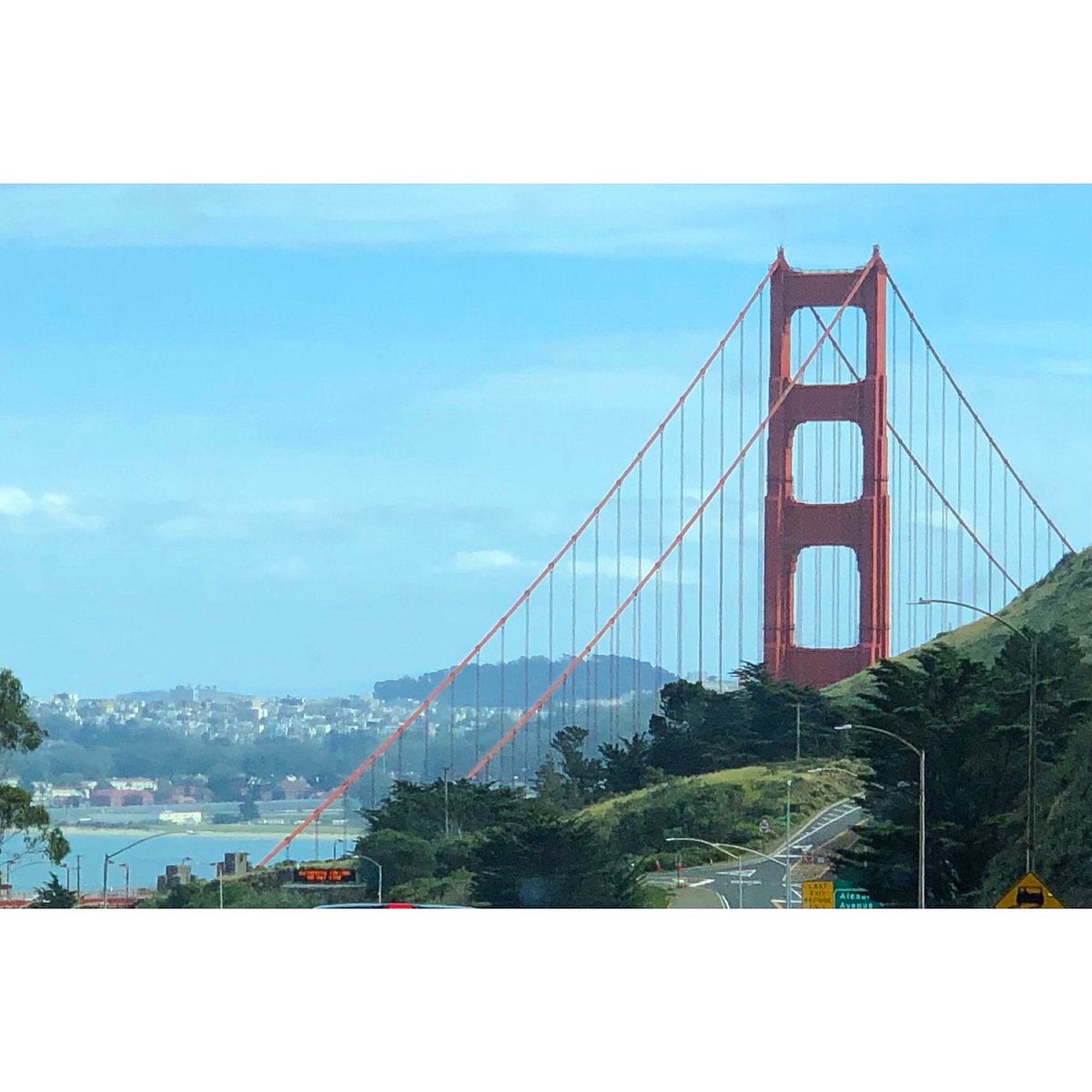 claire31589's tweet photo. Another California conference where I took only one photo for proof. So much fun presenting and socializing with you all at 2022 Pacific Branch ESA! 🐝🦋🪲 #2022PBESA #PBESA @EntsocAmerica @PIE_Entsoc https://t.co/IowBqb0VGf