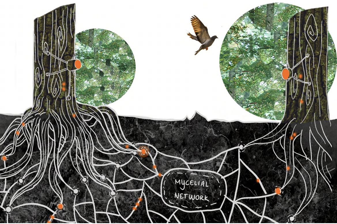 WILL0W 🧜♀️🌿🌻 tweet media