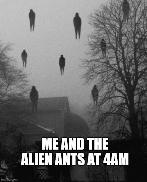 Sol_Alchemist's tweet photo. #AlienAntRaids #AntRaids #AlienAntsGoToWar
#AlienAntsAreComing #AlienAntsGoMoon
#AlienAntsGoNuclear
@AlienAntsGen1 @Sol_alchemist @Sol_Curator @JesseLawhon1 @MrUncleD @Crow4Crypto
#AlienAnts vs. #Solana
#solananfts #nft #nfts @elonmusk https://t.co/IBmCMTVF47
