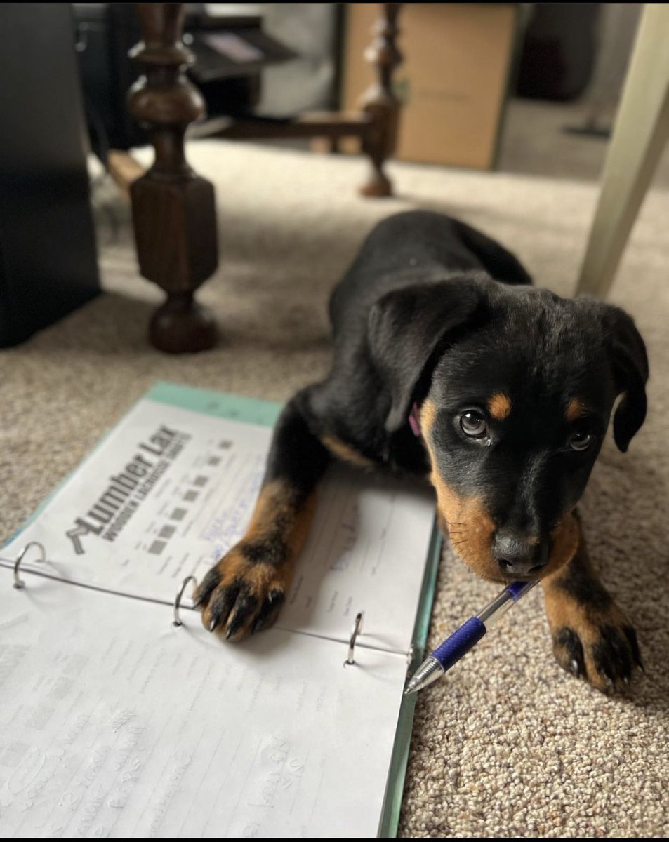 I hate paperwork, just want to paint! Thank you for your orders #woodisgood #equalityinlacrosse #familyownedbusiness #seniorgifts