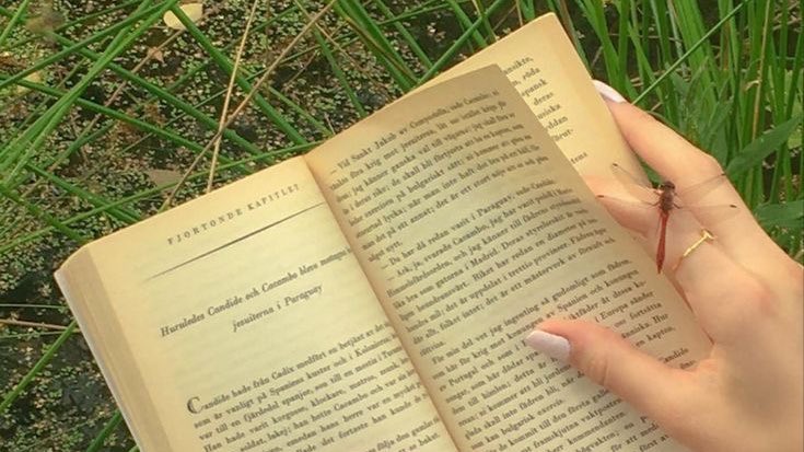 a picnic by the river ⛅️🥯🌾🧺