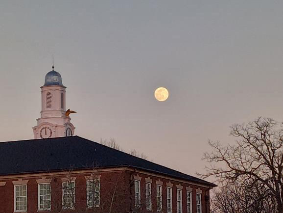 tennesseetech's tweet photo. Enjoy the long weekend, Golden Eagles! π #ThisIsTNTech https://t.co/zGrUqCXtdG